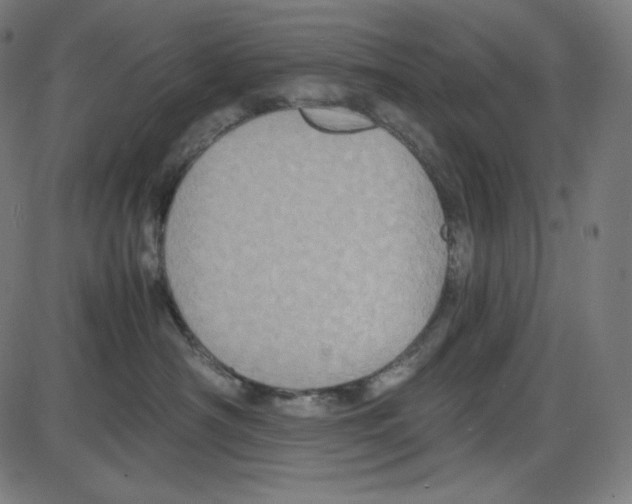 X0000084030430200703161810