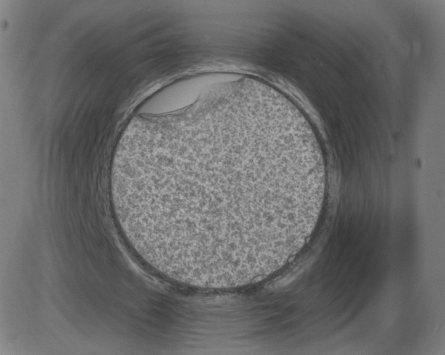 X0000084030433200703161810