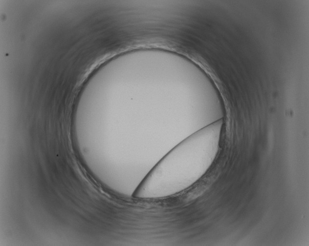 X0000084030434200703161810