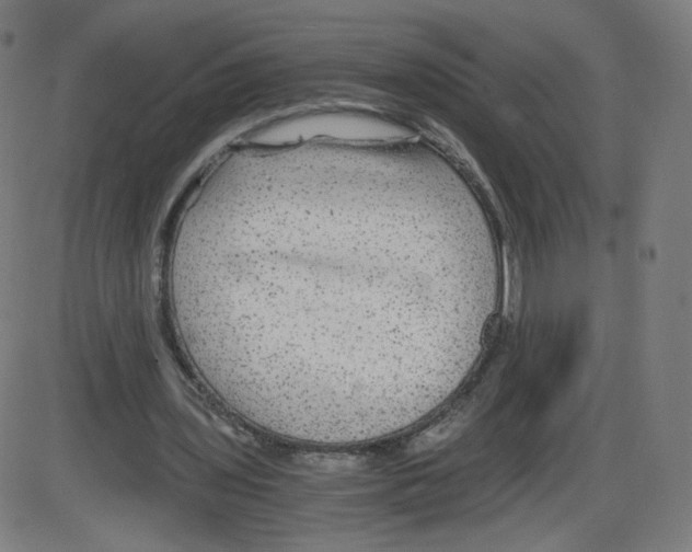 X0000084030435200703161810