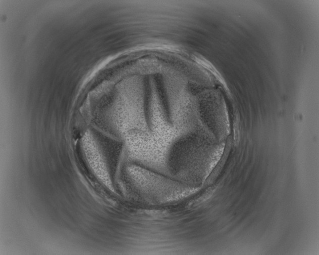 X0000084030436200703161810