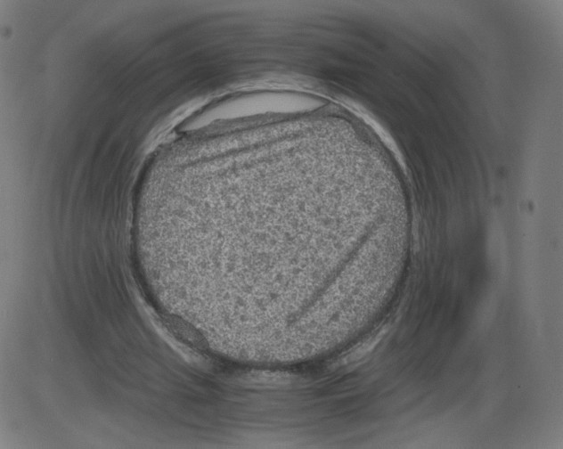 X0000084030437200703161810