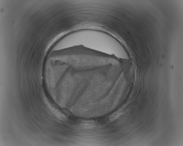 X0000084030438200703161810