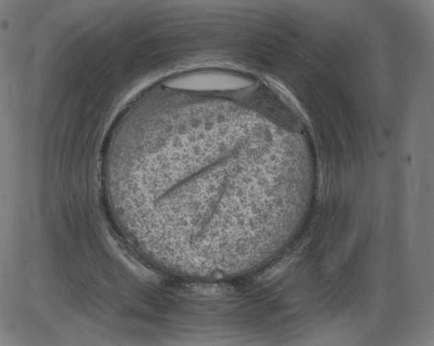 X0000084030439200703161810