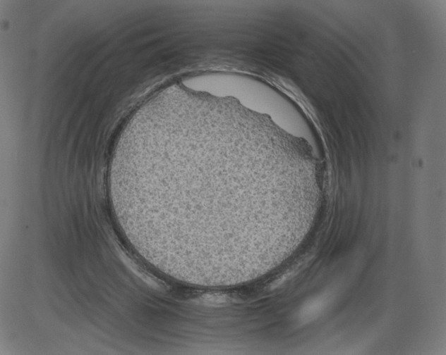 X0000084030441200703161810