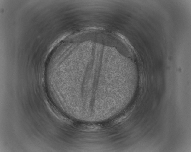 X0000084030443200703161810