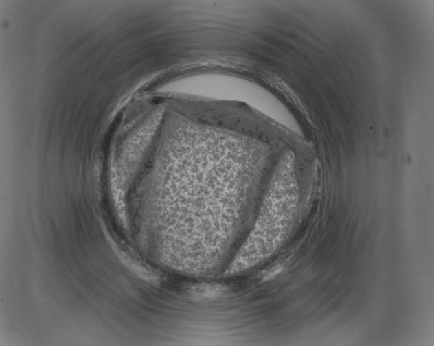 X0000084030444200703161810