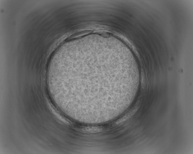 X0000084030445200703161810