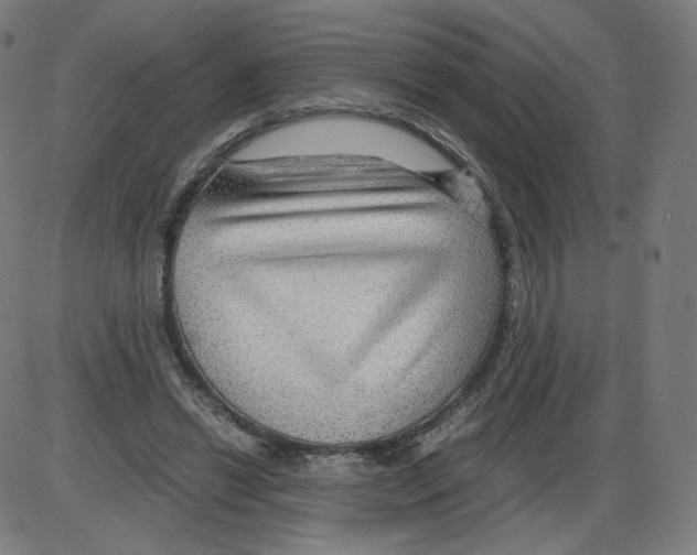 X0000084030446200703161810