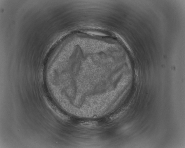 X0000084030447200703161810