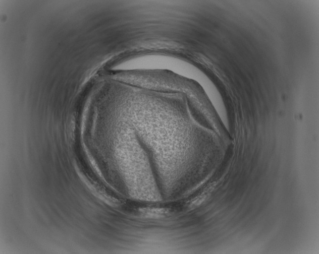 X0000084030448200703161810