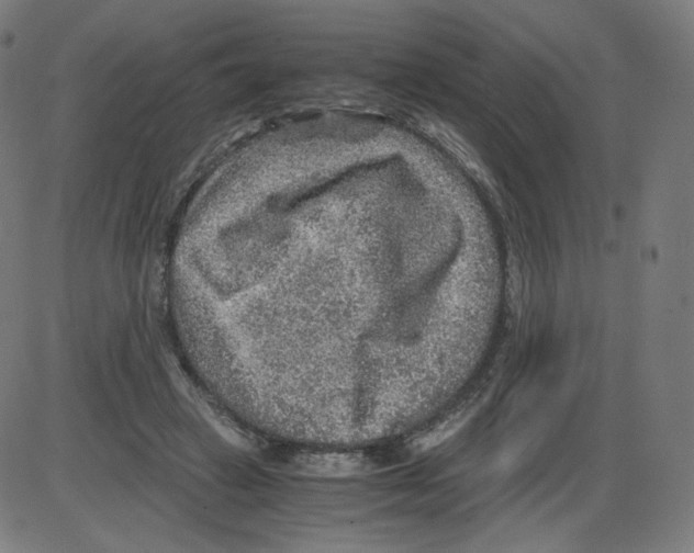 X0000084030449200703161810