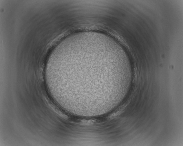 X0000084030450200703161810