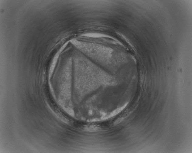 X0000084030451200703161810