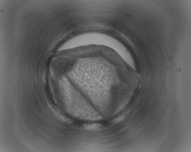 X0000084030452200703161810