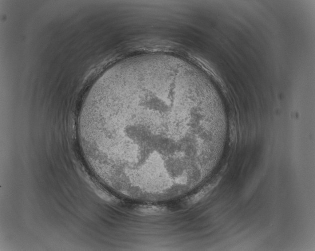 X0000084030453200703161810