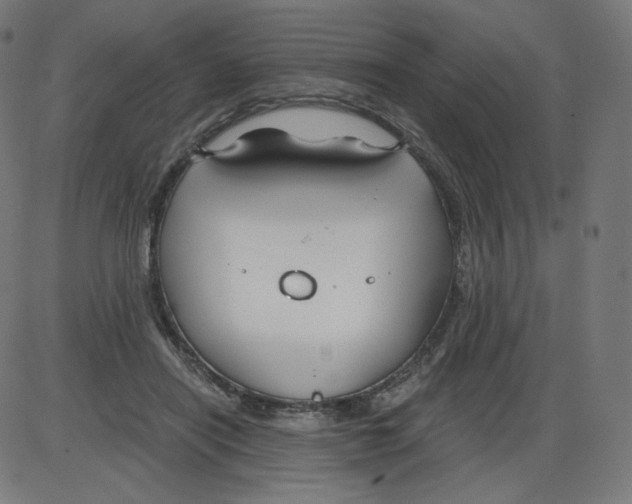 X0000084030454200703161810