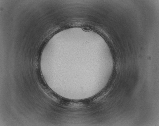 X0000084030455200703161810