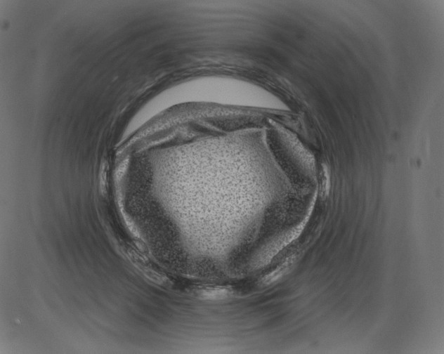 X0000084030456200703161810