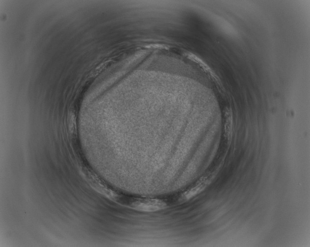 X0000084030459200703161810