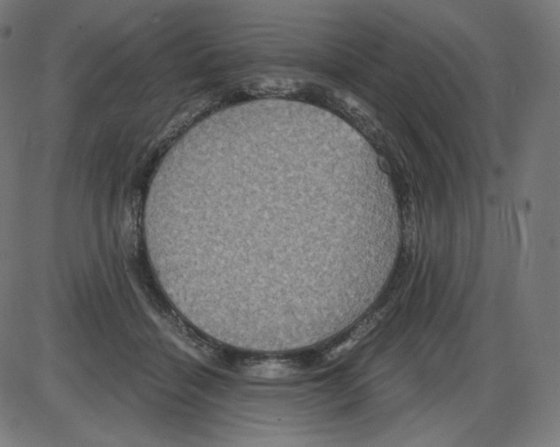 X0000084030460200703161810