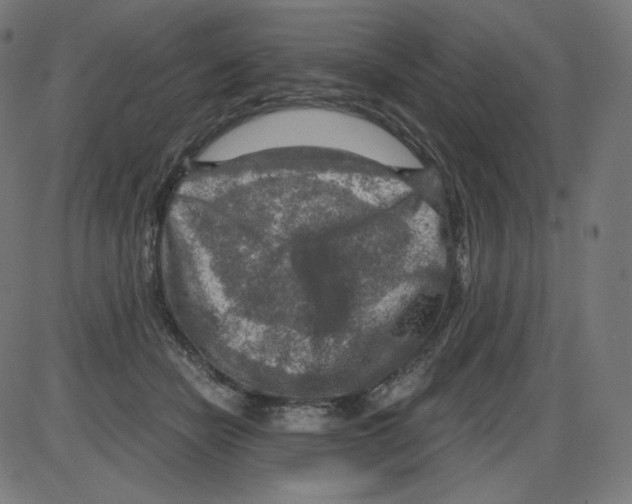 X0000084030462200703161810