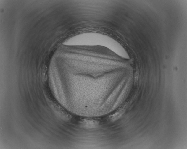 X0000084030464200703161810