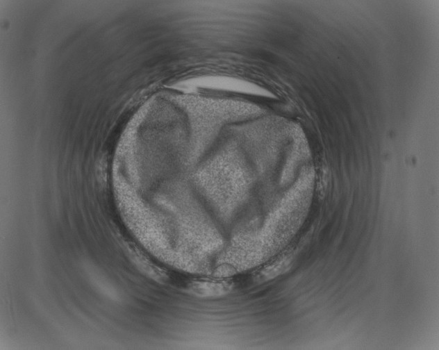 X0000084030466200703161810