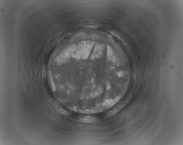 X0000084030467200703161810