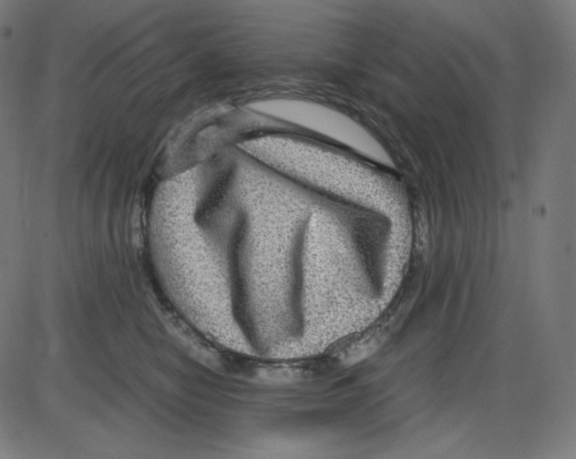 X0000084030470200703161810