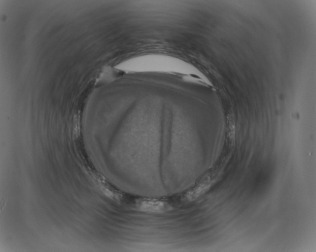 X0000084030471200703161810