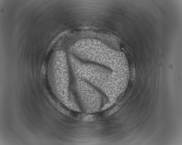 X0000084030472200703161810