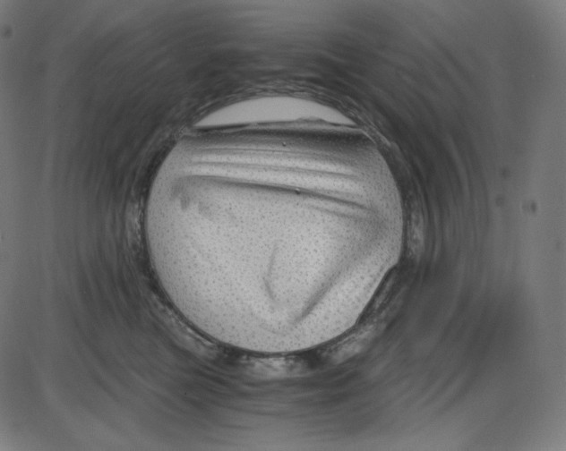 X0000084030473200703161810