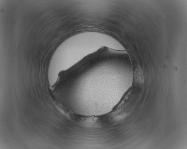 X0000084030474200703161810