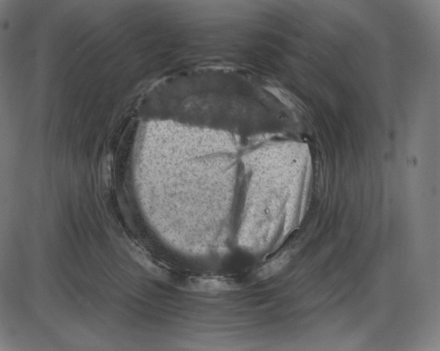 X0000084030475200703161810