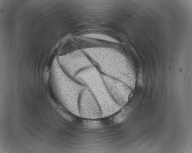 X0000084030476200703161810