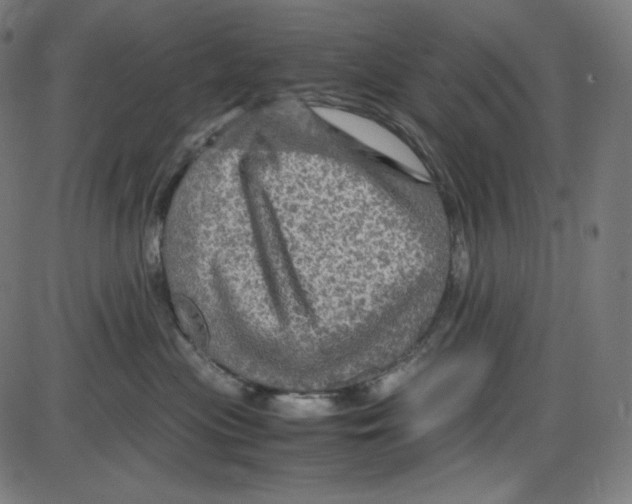 X0000084030477200703161810