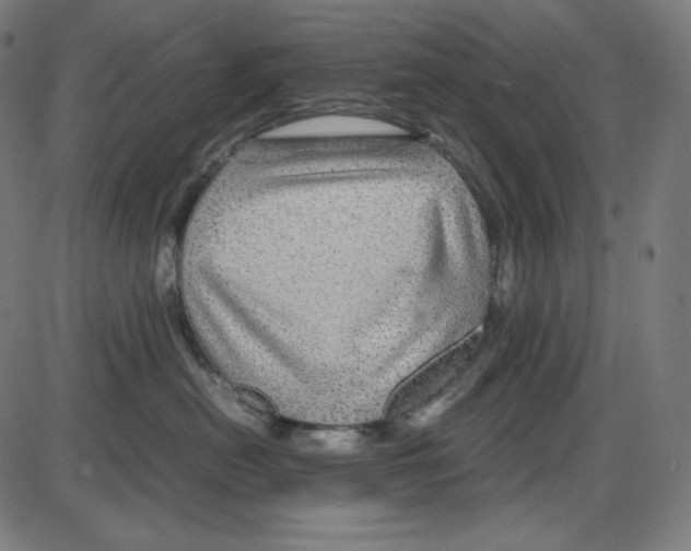 X0000084030478200703161810