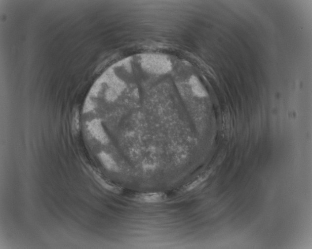 X0000084030479200703161810