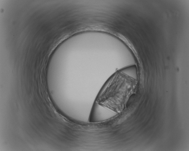 X0000084030481200703161810