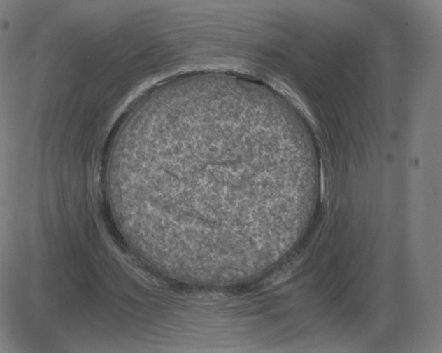 X0000084030483200703161809