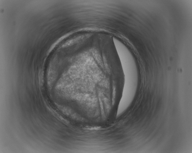 X0000084030484200703161809