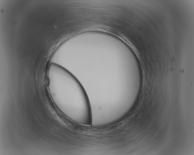 X0000084030485200703161809