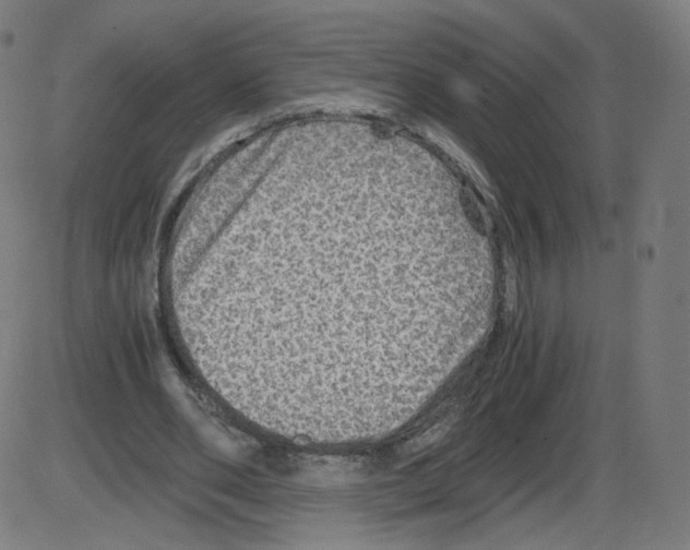 X0000084030486200703161809