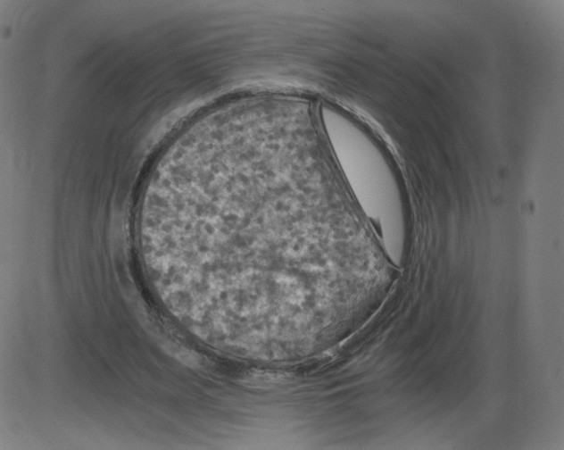 X0000084030487200703161809