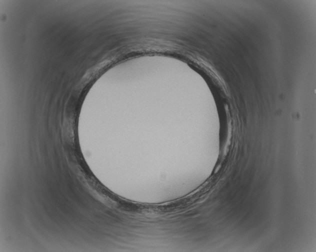 X0000084030489200703161809