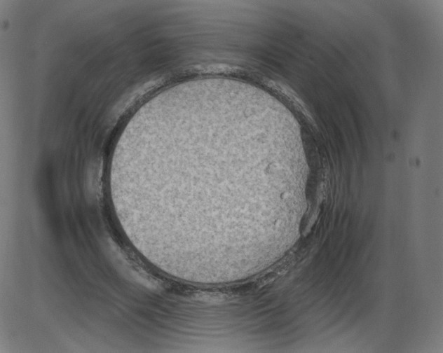 X0000084030490200703161809