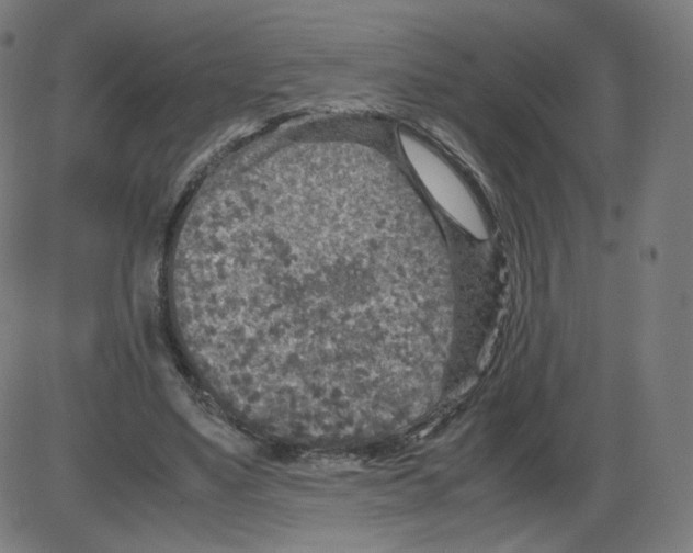 X0000084030491200703161809