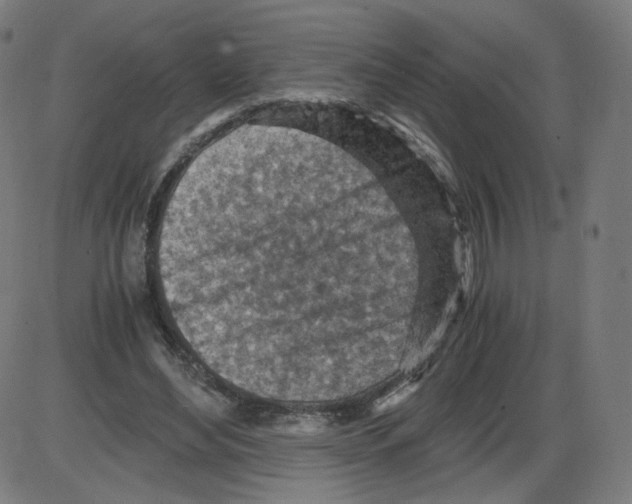 X0000084030492200703161809