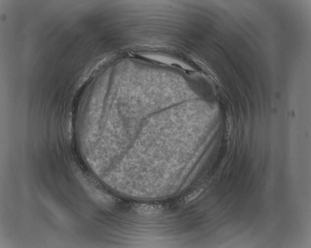 X0000084030494200703161809